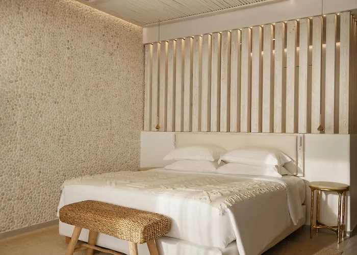 ホテル Icon Mykonos 4*